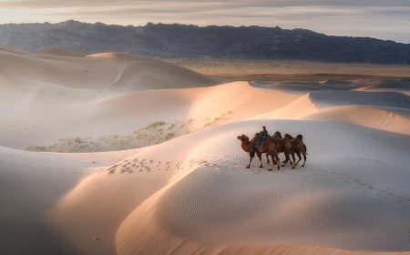 Mongolia Is Finally Open for Travel — And It's Unlike Anywhere Else on Earth