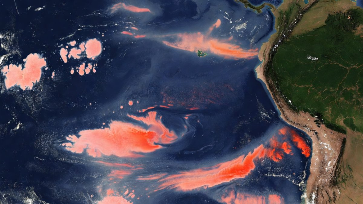El Niño Under Way and Threatens Weather Extremes — What It Means for Latin America