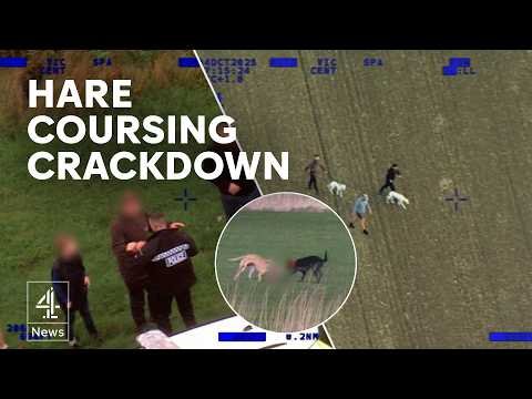Farmers Welcome Tougher Hare Coursing Sentences as New UK Sentencing Guidelines Take Effect