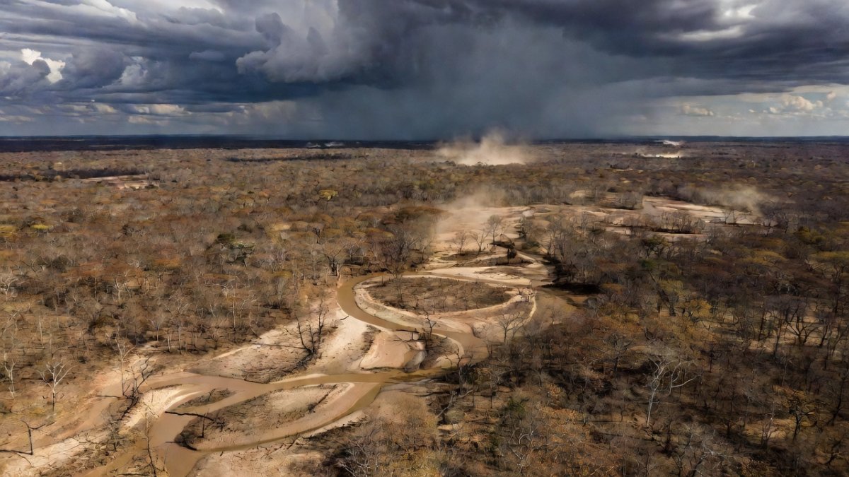 El Niño Begins: Extreme Weather Threat in Latin America