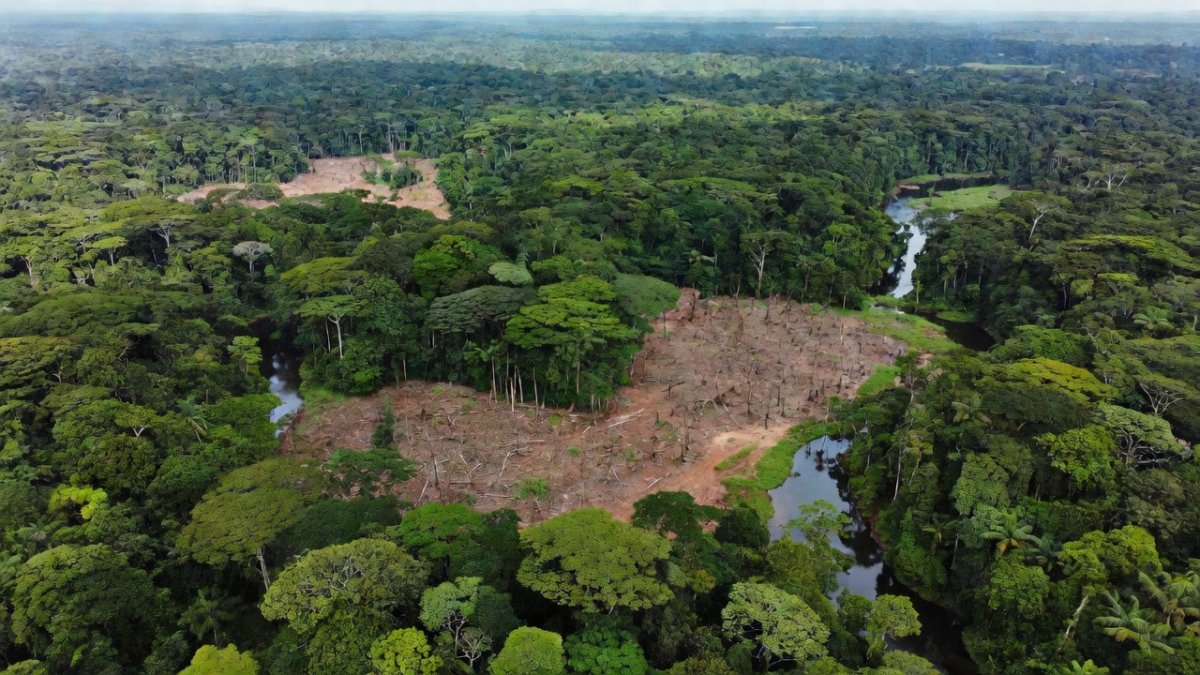 Colombia's 2026 Runoff Puts Amazon Future at Risk
