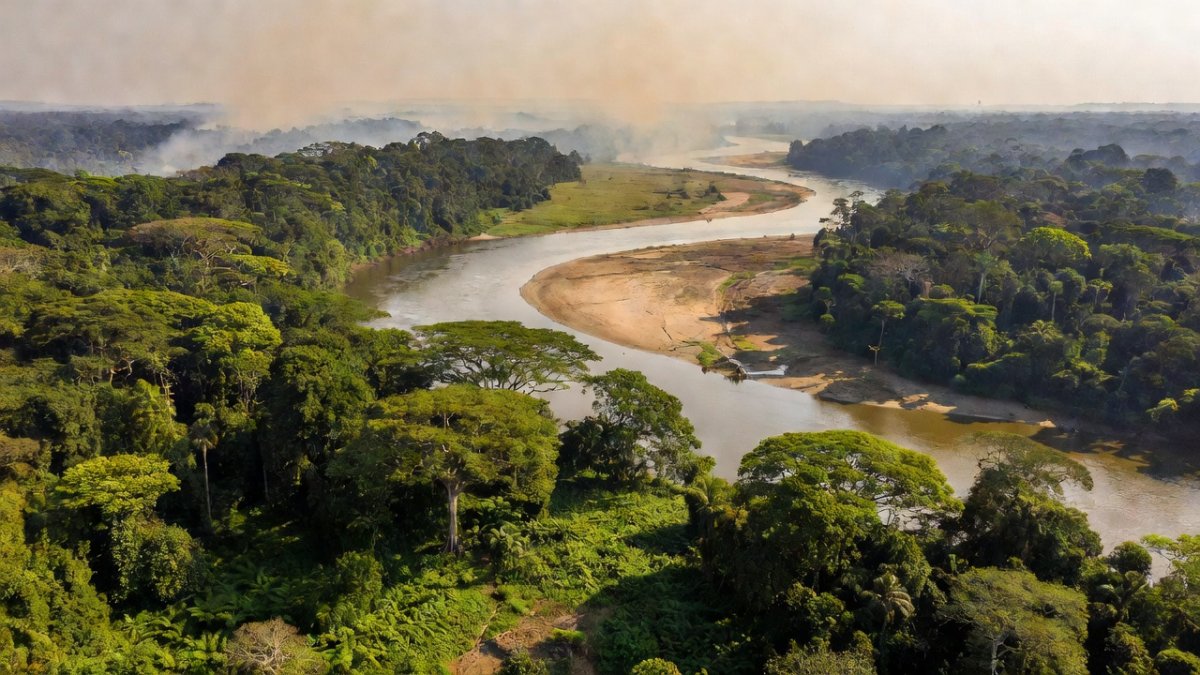 Amazon Drought Emergency: Brazil's 2026 Climate Crisis