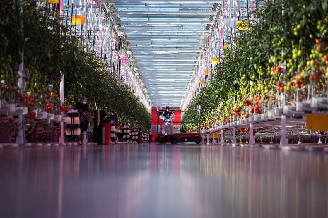 Canada's National Food Strategy: Carney's $750M Greenhouse Plan