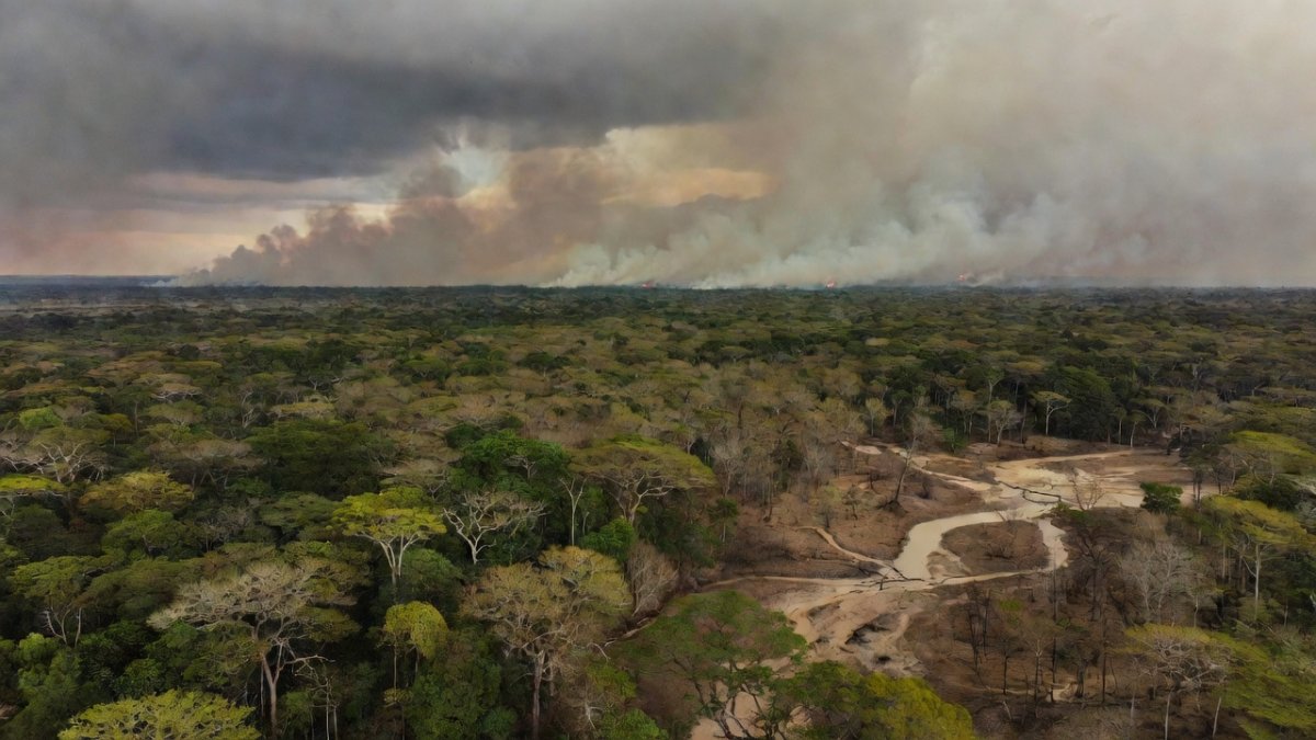 Aerial view of drought-stricken Amazon rainforest with dry riverbeds and wildfire smoke on the horizon during the 2026 El Niño event