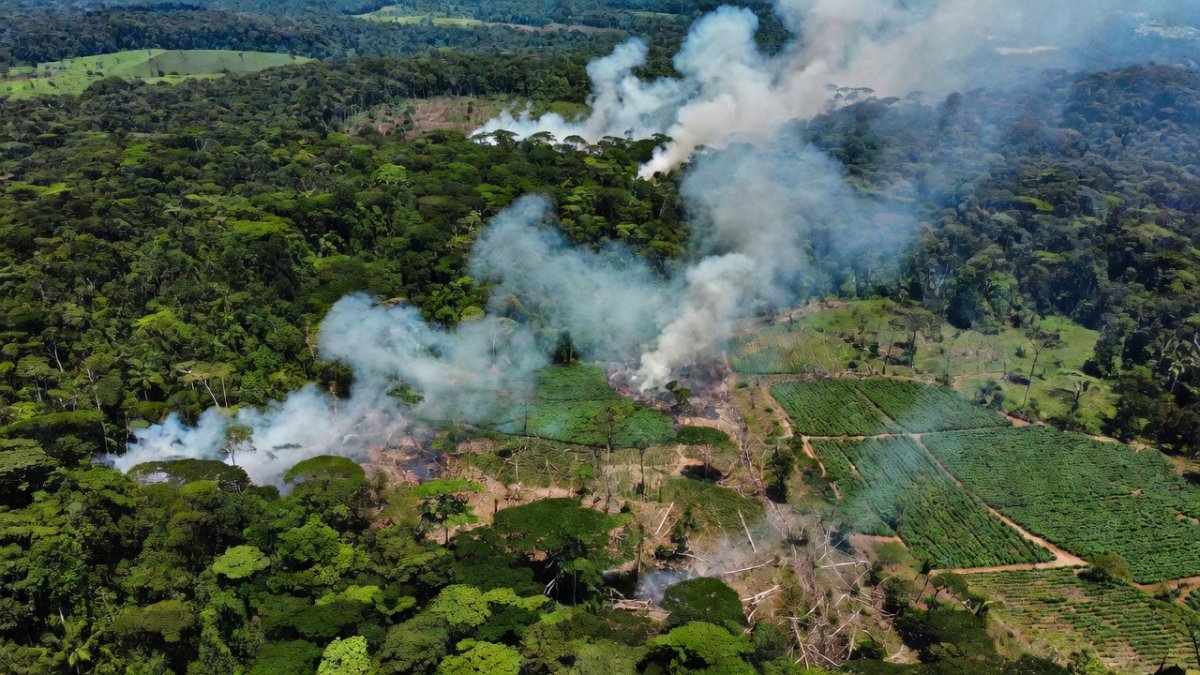 Colombia Election Threatens Amazon Future