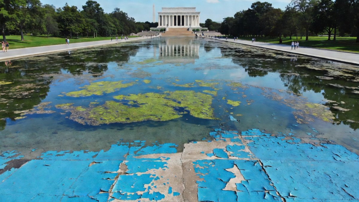 Reflecting Pool: Algae, Vandalism Claims & Olympian Arrest