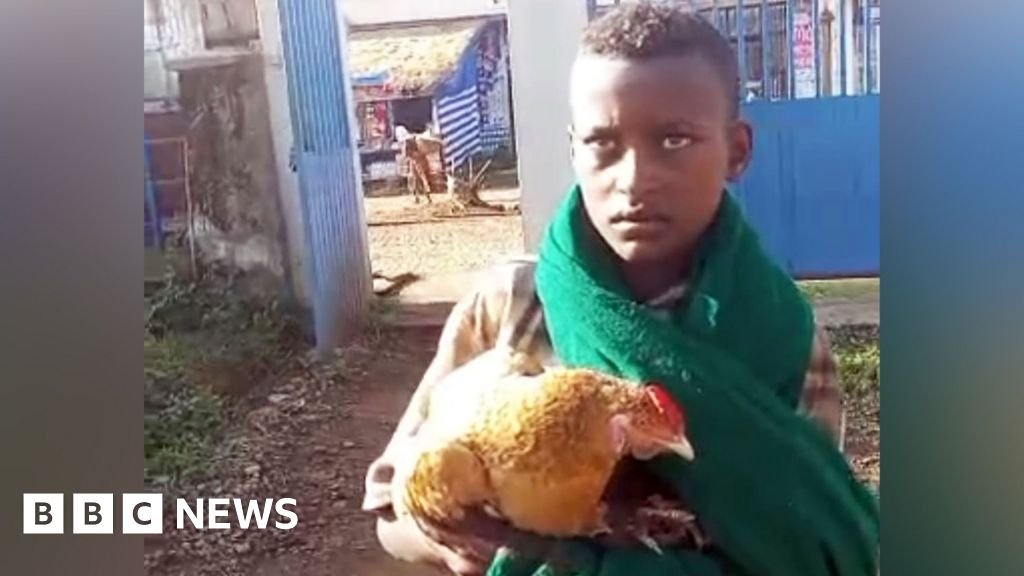 Markos Abaye's Chicken: A Story of Compassion in Rural Ethiopia
