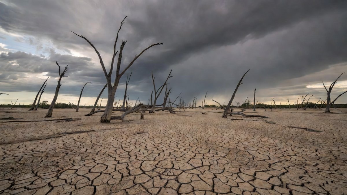 Dry cracked earth in Pantanal wetlands during severe drought