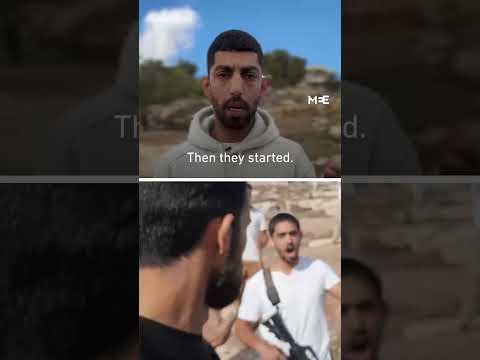 Israeli Settlers Attack West Bank Village of Khalail al-Luz, Destroying Homes and Olive Groves