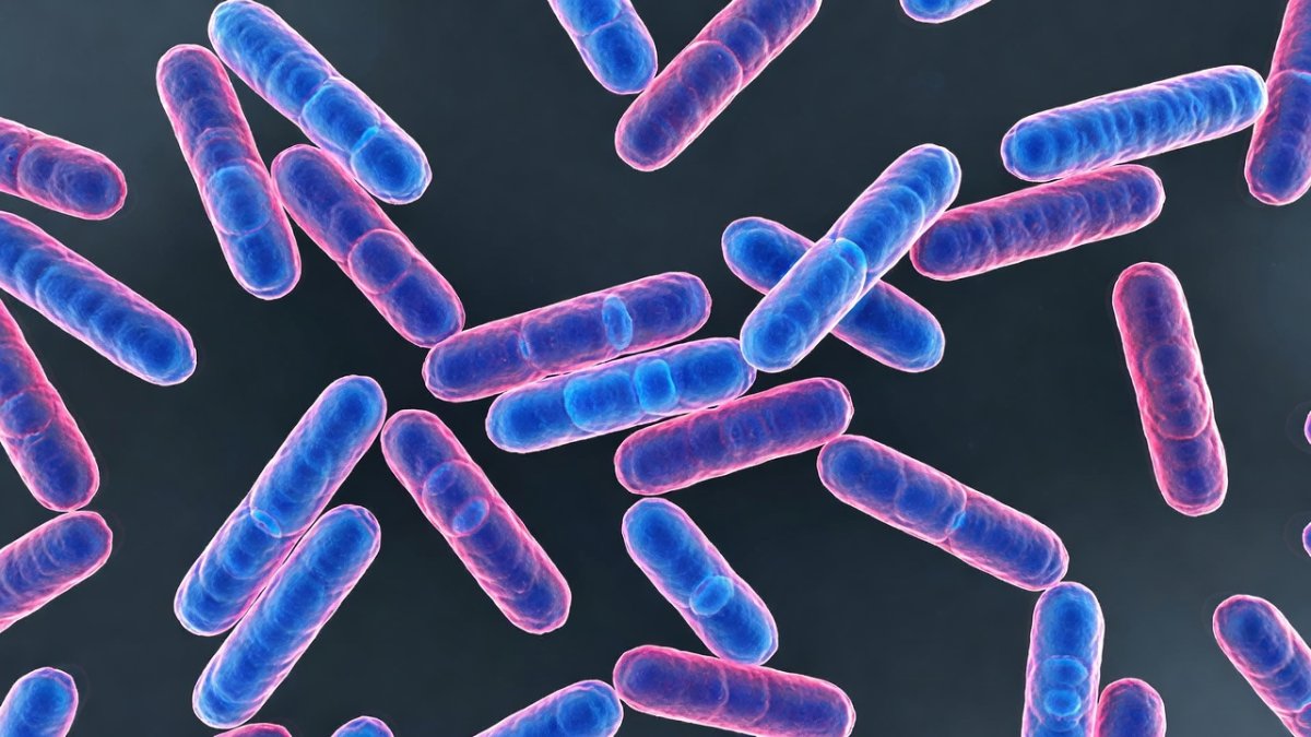 Shigella Outbreak in Kerala Claims Second Child Life Amid 85 Confirmed Cases