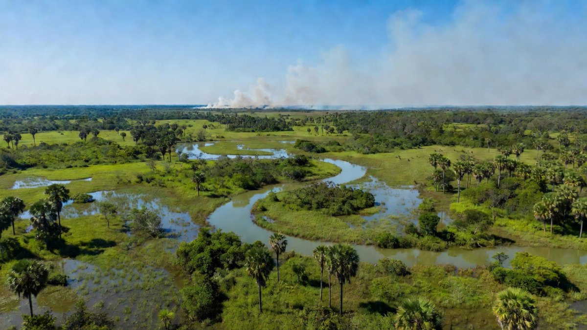 Aerial view of the Brazilian Pantanal wetlands with winding river through green floodplains and haze on the horizon