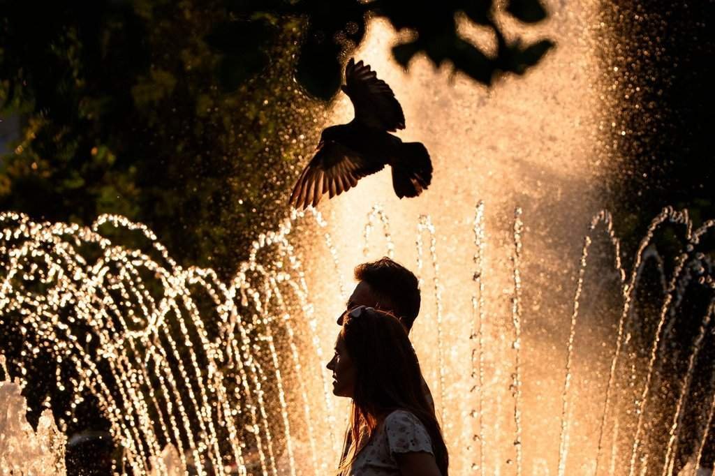 Record European Heat Wave Claims 1,000 Lives in France