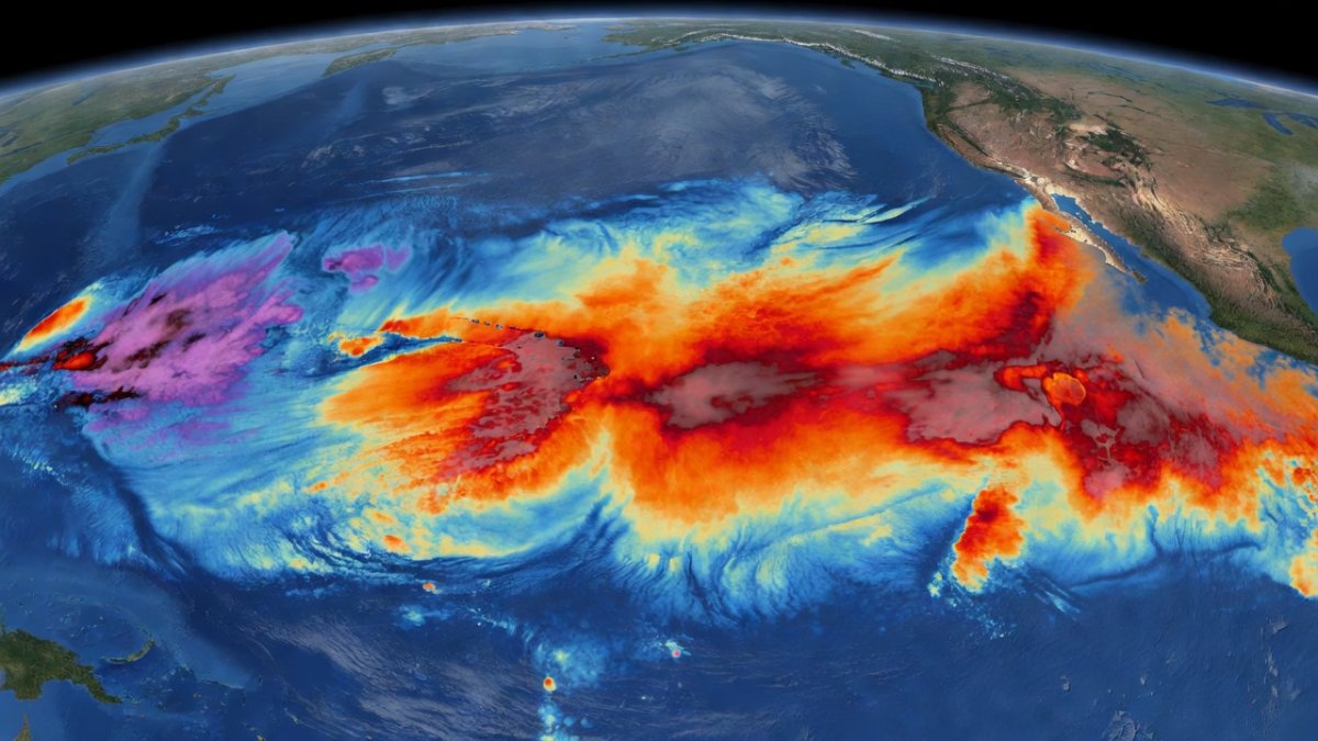 El Niño sea surface temperature anomaly visualization