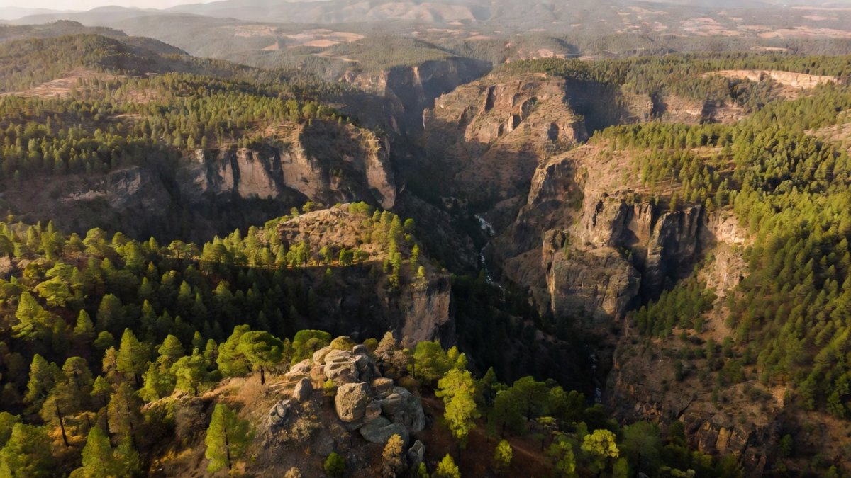 Quinto Elemento Lab Exposes Cartel Slavery in Tarahumara