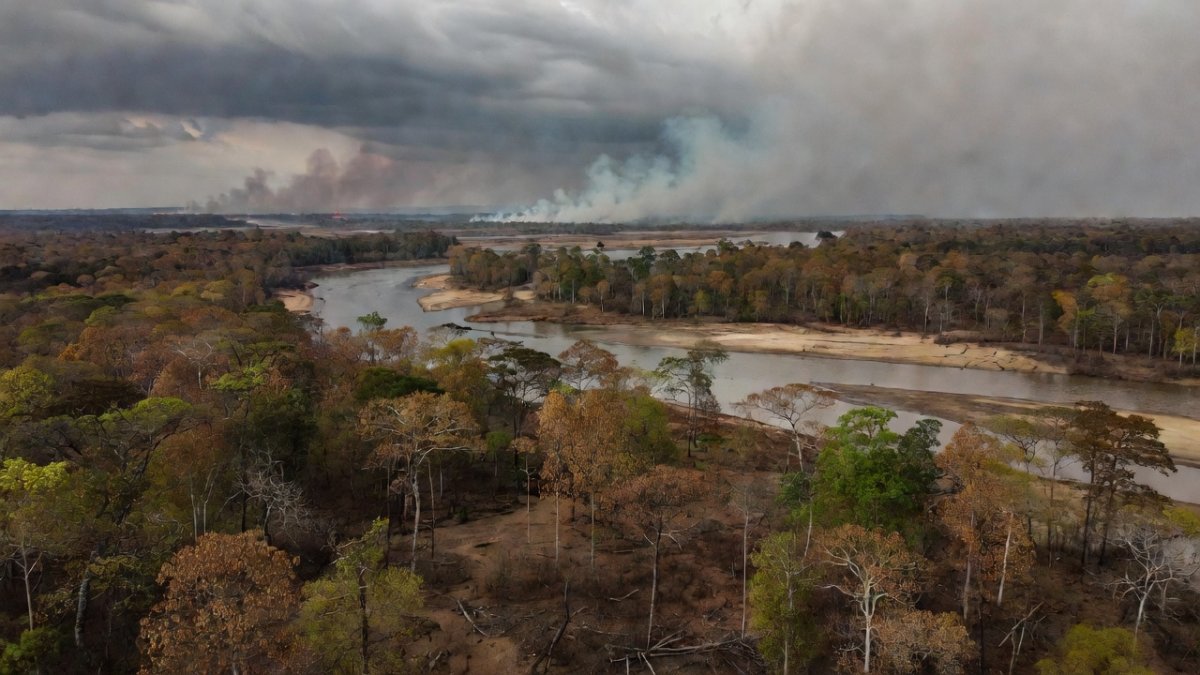 Aerial view of Amazon rainforest showing drought stress, low river levels and wildfire smoke in the distance