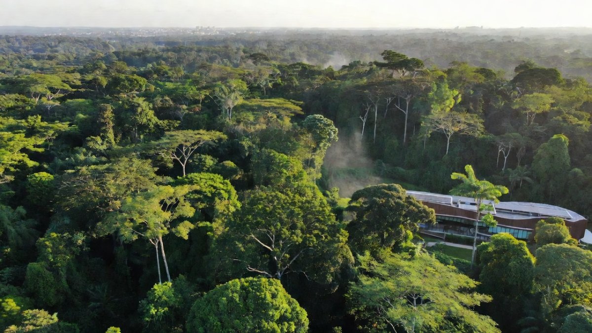COP30 in Belém Showcases Brazil's Climate Leadership and the $1.3 Trillion Finance Battle