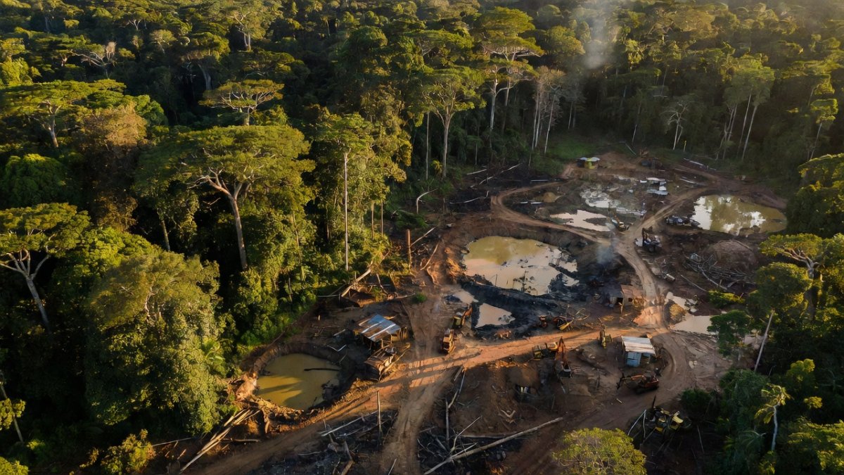 Aerial view of Amazon rainforest showing deforestation patches and illegal mining in Colombia