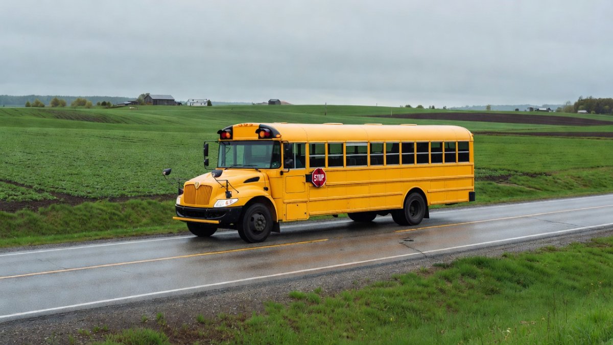P.E.I. School Bus Penalties: Why Drivers Keep Passing