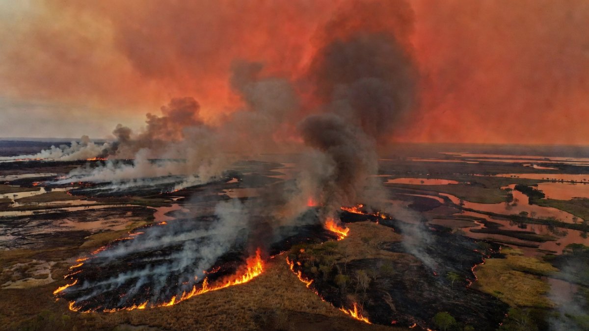 Pantanal Fires 2026: Inferno Threatens Jaguars, Biodiversity