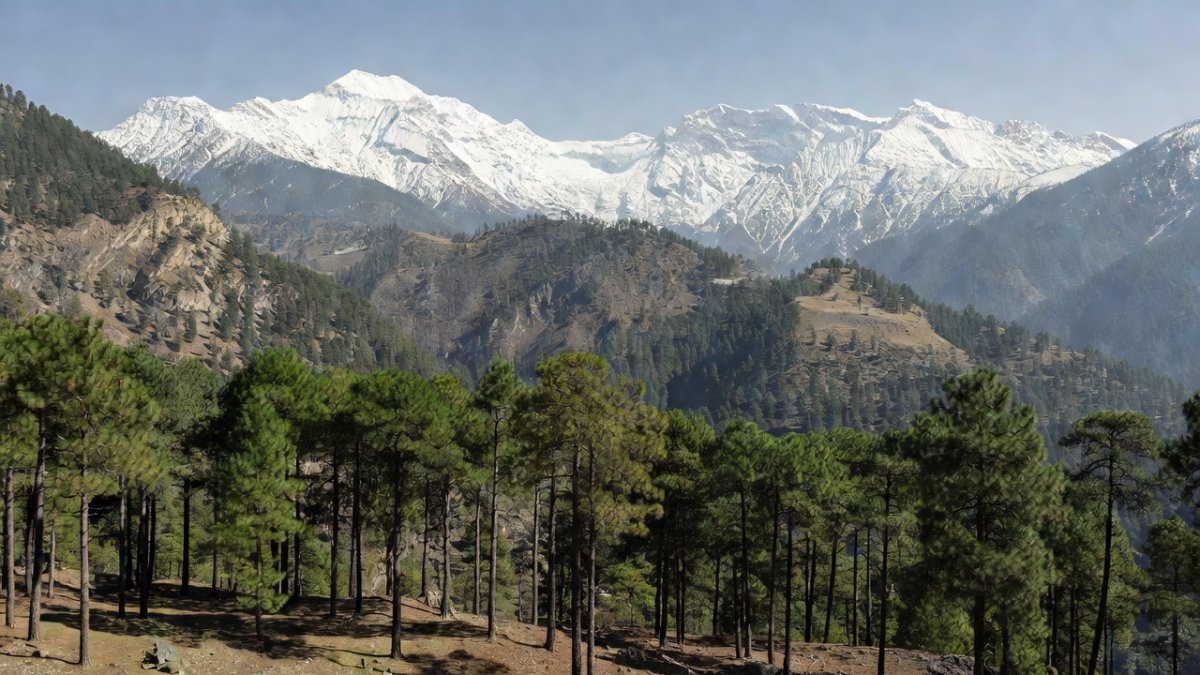 Dachigam National Park near Srinagar, Kashmir