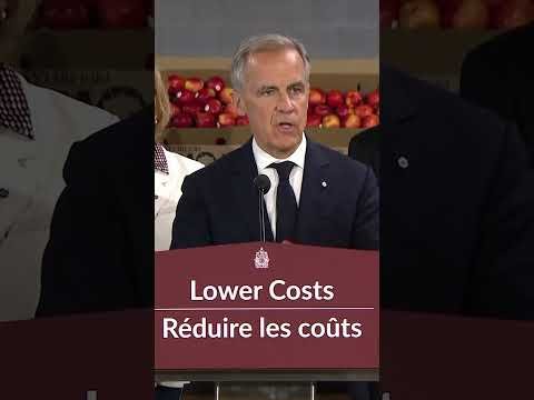 CBC News report on the Gordie Howe International Bridge opening delay