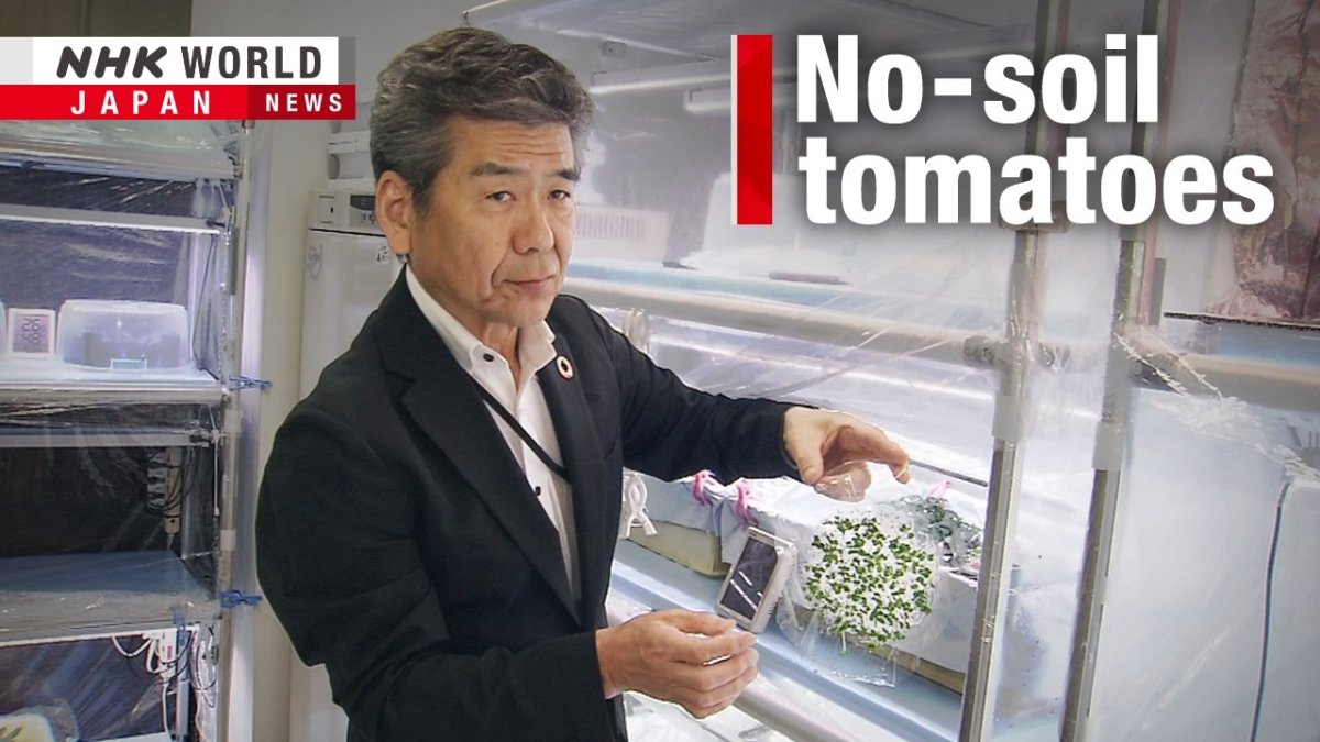 Japanese Agricultural Technology Aims to Transform Ukraine's Minefields into Harvests