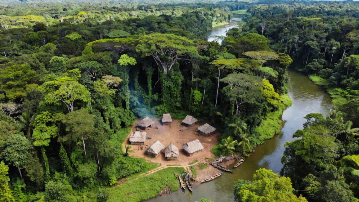 Indigenous village clearing in the Yanomami territory, Amazon rainforest