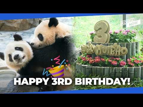 Everland Panda World celebration event for Rui Bao and Hui Bao