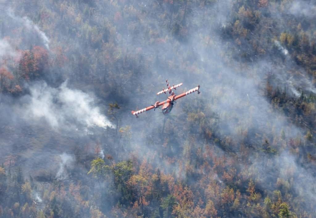 Maritimes Brace for Challenging Wildfire Season as July Heats Up