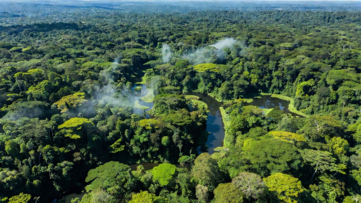 Guyana's Biodiversity Summit 2026: A Conservation Blueprint for Latin America's Amazon Frontier