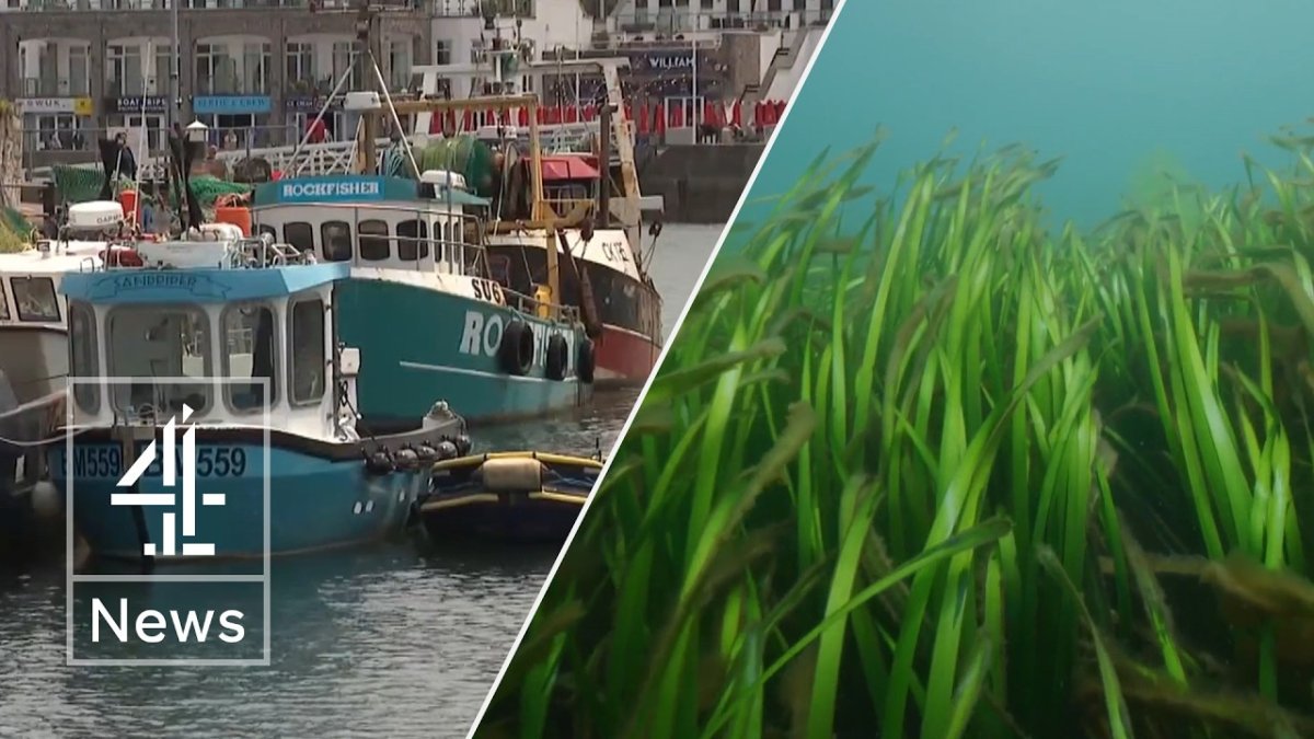 Met Office Warns of Intensifying Marine Heatwave in UK