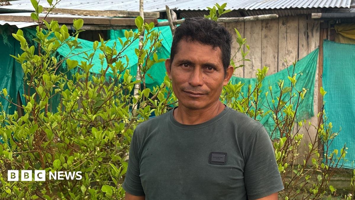 Colombia Coca Farmers: Why Substitution Keeps Failing