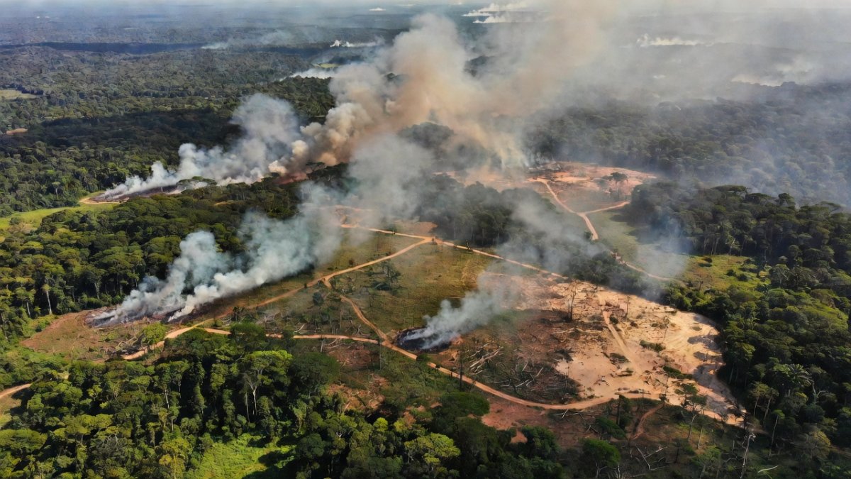 Brazil's Amazon Paradox: Record-Low Deforestation Masks Tipping Point Crisis