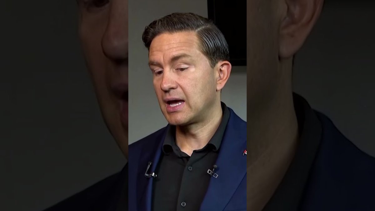 WestJet Parks Planes as Poilievre Demands Full Pay for Flight Attendants