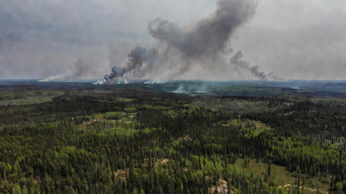 Aerial view of boreal forest with smoke plumes from wildfires in northwestern Ontario