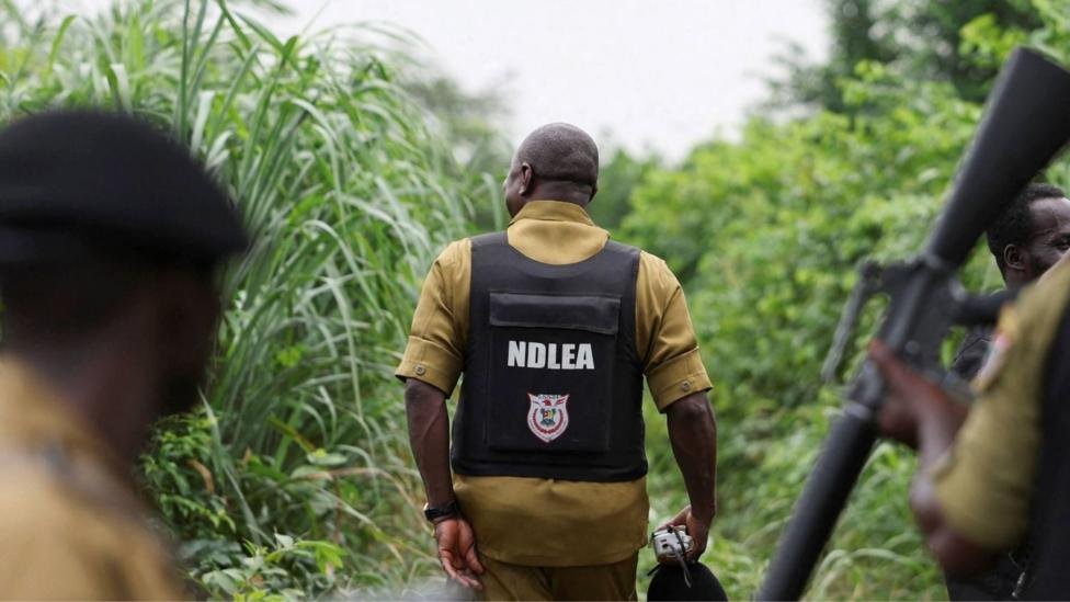 Mexican Cartels Outsource Meth Labs to Nigeria | World News