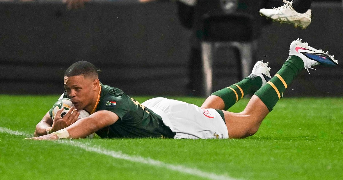 Springboks Crush Wales 43-0 to Lead Nations Championship