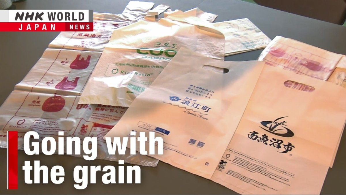 Japan Turns to Rice as Naphtha Alternative: Bioplastics Innovation in an Era of Supply Disruption
