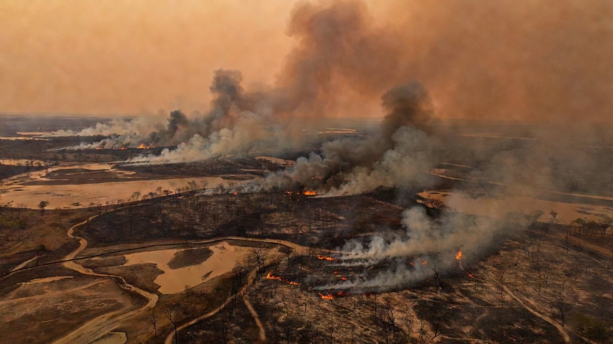 Pantanal Fires: Brazil's Wetland Burns Amid Record Drought
