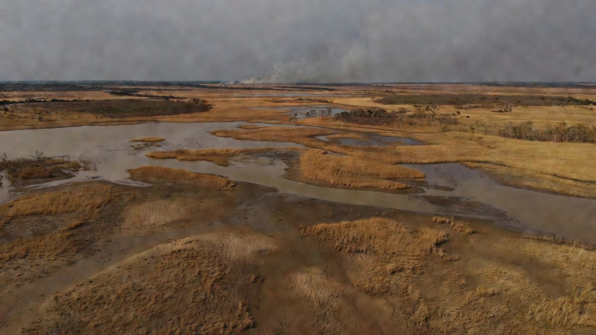 Pantanal wetlands showing drought conditions raising wildfire risk in Brazil