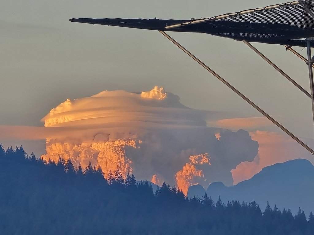 Drought-affected forests contributing to wildfire risks in British Columbia