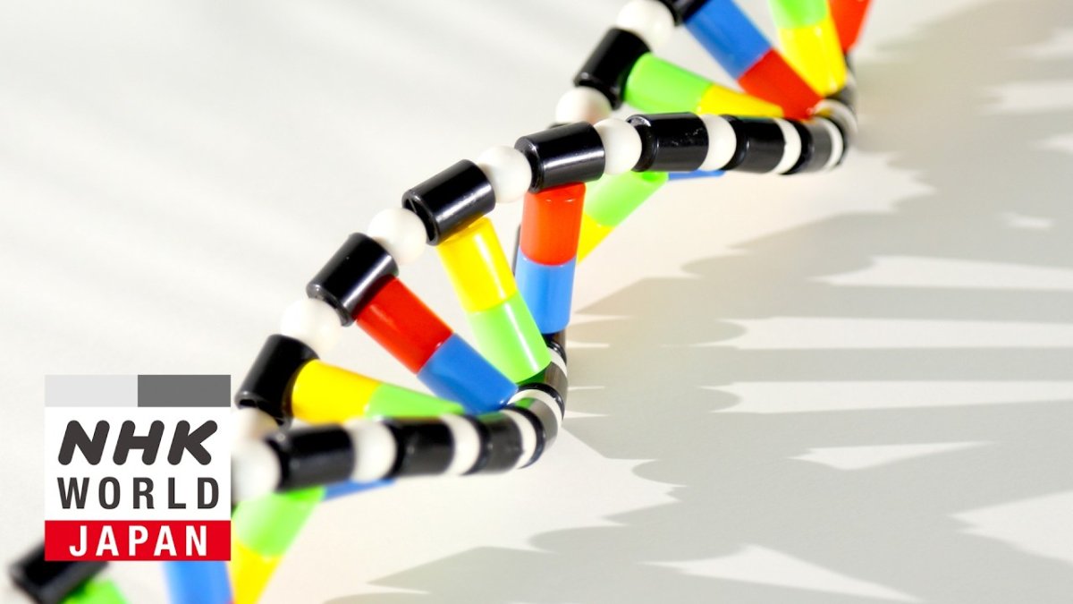 Hope for ALS and Beyond: Nucleic Acid Therapeutics episode on NHK WORLD-JAPAN