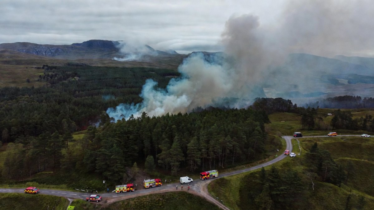 Aerial view of smoke rising from a wildfire near Bordeaux, France, showing destroyed forest and emergency vehicles