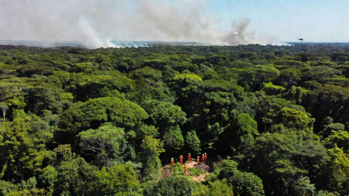 Firefighting efforts in the Amazon rainforest with Brazilian firefighters and helicopter support
