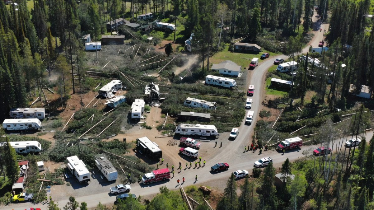 Aerial view of storm damage at Dillberry Lake Provincial Park campground