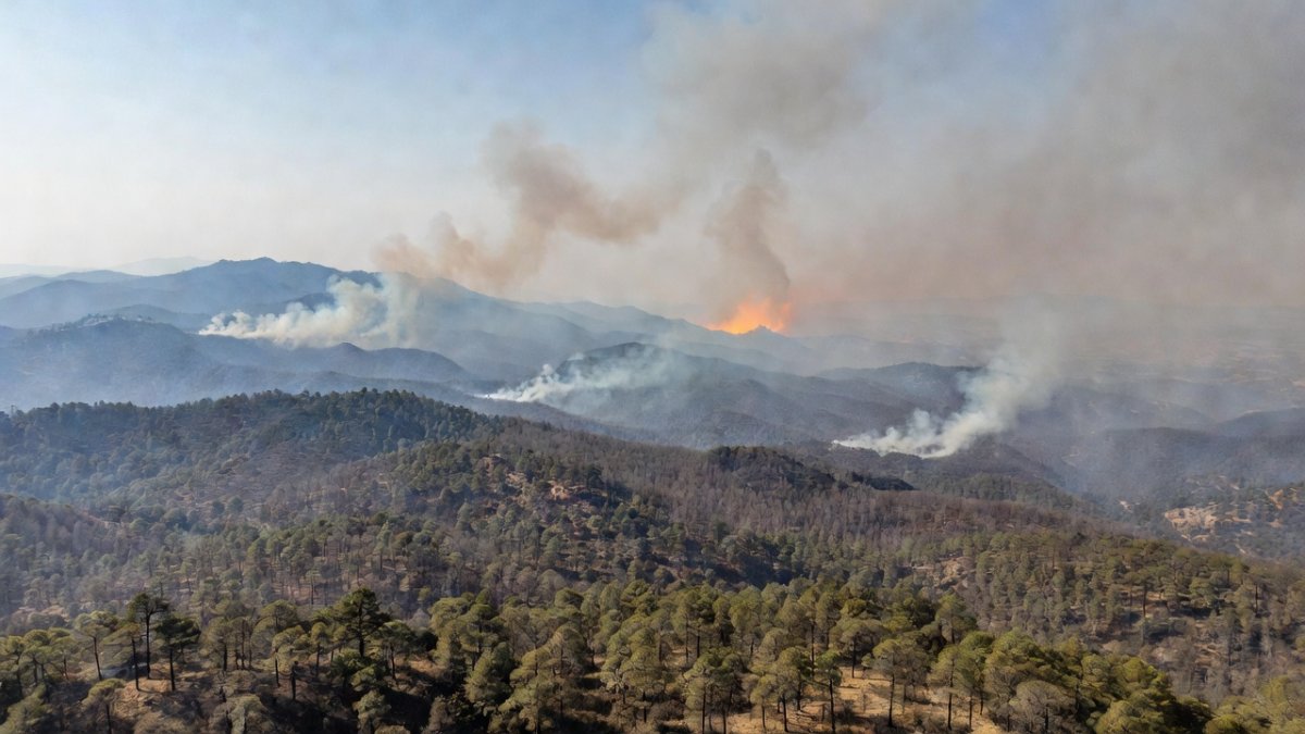 Wildfires Now Exceed Forests' Recovery Capacity as Climate Extremes Drive Explosive Growth