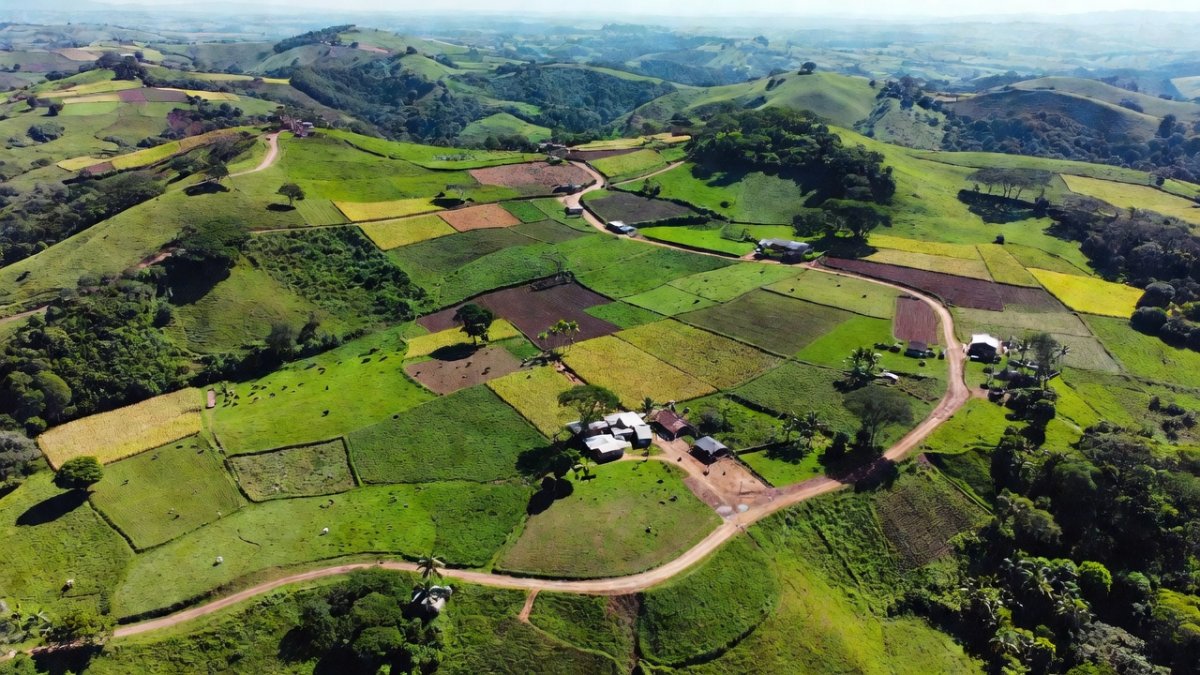 Colombia's Failed Crop Substitution Fuels Record Coca Boom