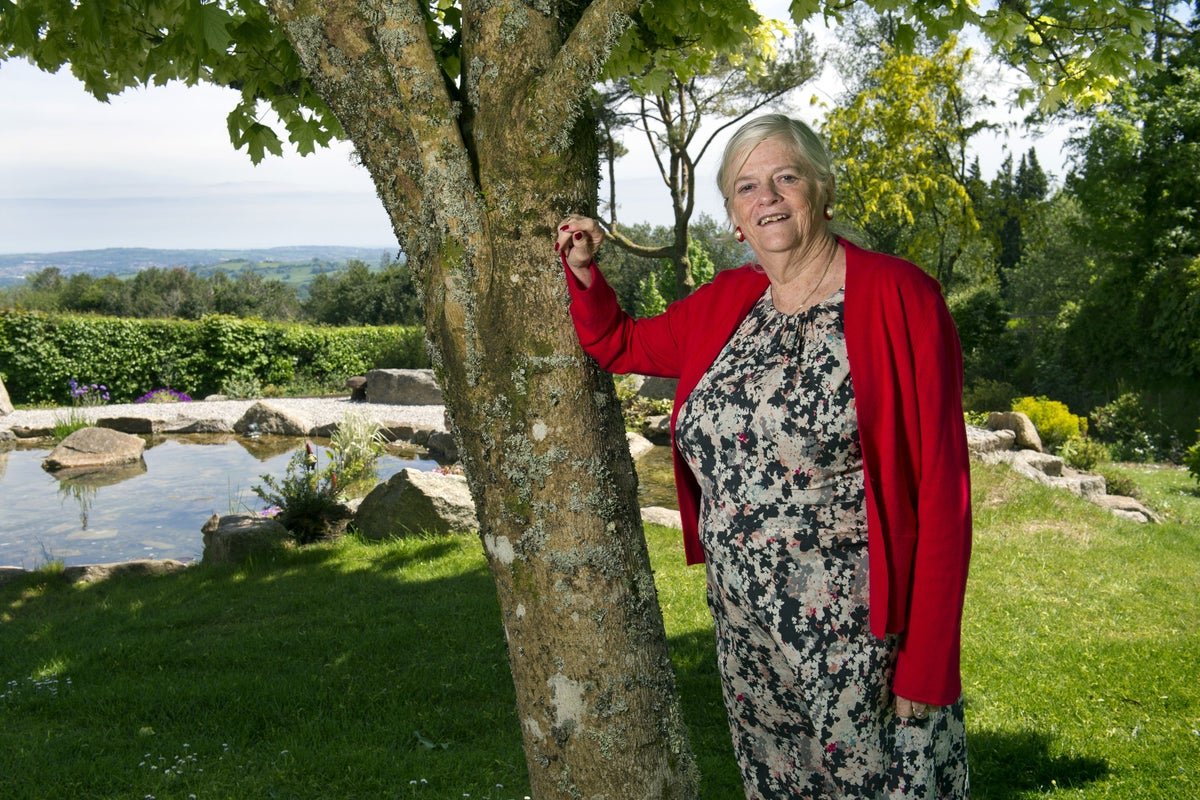 Release of Key Suspect Shifts Focus in Widdecombe Inquiry