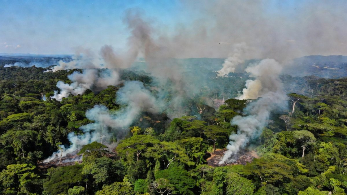 Colombia Amazon Fires Spark Air Pollution Crisis