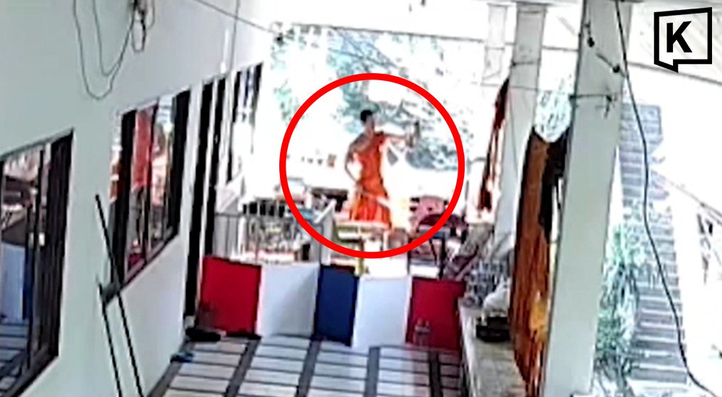 Ex-monk charged after admitting to beating temple puppy in Nakhon Sawan